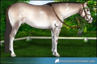 Horse Color:Liver Red Onyx Sabino 