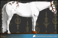 Horse Color:Liver Chestnut Mushroom Sabino Snowflake Varnish 