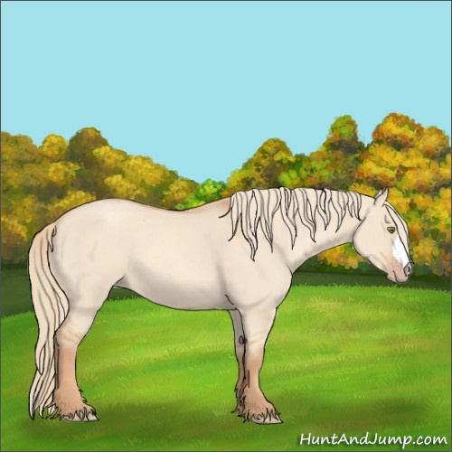 Horse Color:Gold Champagne Dun 