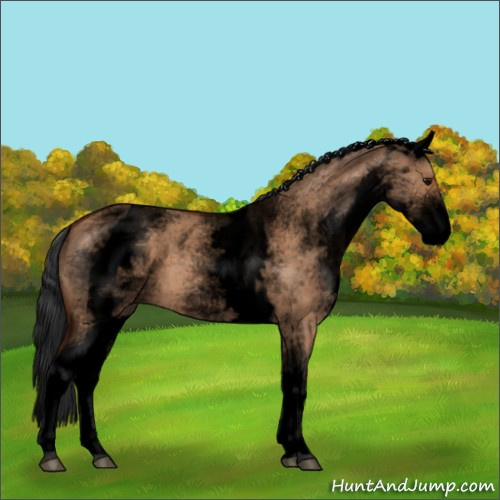 Horse Color:Void White Spotted Bay Dun 