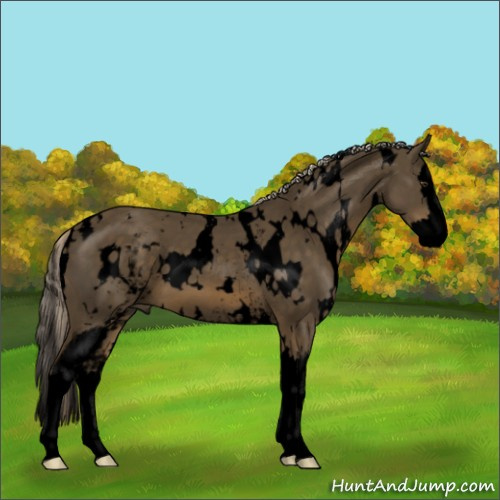 Horse Color:Void White Spotted Chocolate Palomino Splash 