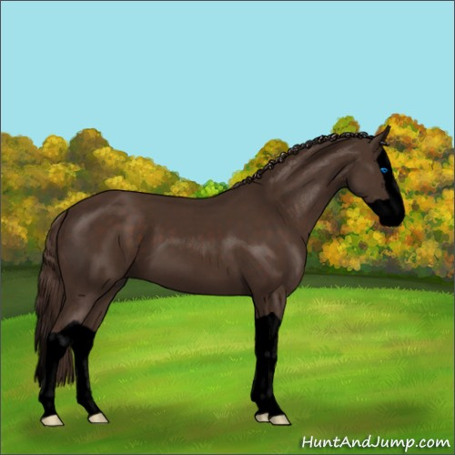 Horse Color:Void Liver Chestnut Splash 