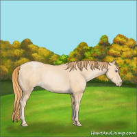 Horse Color:Smoky Black Pearl 