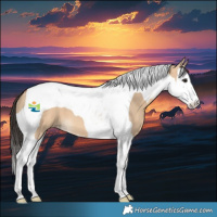 Horse Color:Bay Dun Splash Tobiano 