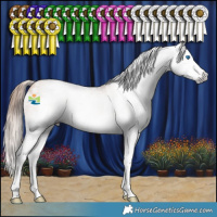 Horse Color:Gray Gold Champagne Sabino Splash 