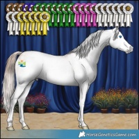 Horse Color:Gray Gold Champagne Sabino Splash
