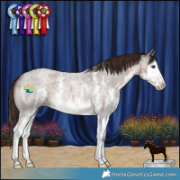 Horse Color:Liver Red Roan Sabino Splash 
