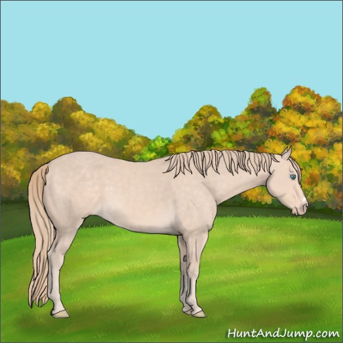 Horse Color:Perlino 