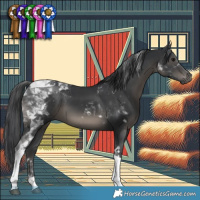 Horse Color:Black Tobiano 