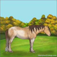 Horse Color:Sable Cream Champagne 