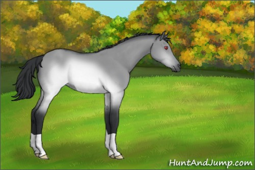 Horse Color:Brown Chinchilla Dun 