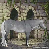Horse Color:Silver Grullo Chinchilla 