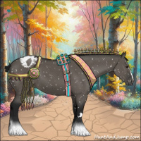 Horse Color:Gray Grullo Appaloosa 
