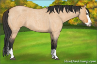 Horse Color:Bay Roan Dun Splash 