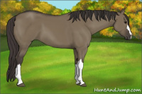 Horse Color:Smoky Grullo 