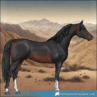Horse Color:Brown Sabino Tobiano