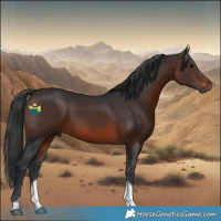 Horse Color:Brown Sabino Tobiano