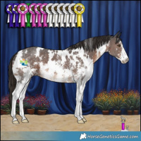 Horse Color:White Spotted Liver Chestnut Sabino