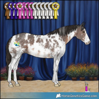 Horse Color:White Spotted Liver Chestnut Sabino 