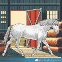 Horse Color:Chocolate Palomino Roan Snowcap 