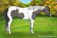 Horse Color:Grullo Tobiano 