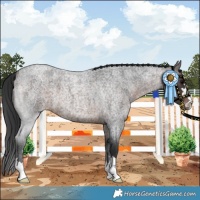 Horse Color:Brown Roan