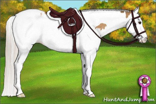 Horse Color:Silver Buckskin Dun Splash Tobiano Appaloosa Rabicano