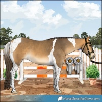 Horse Color:Buckskin Tobiano 