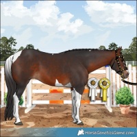 Horse Color:Bay Tobiano 