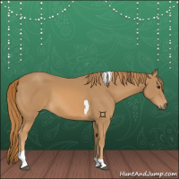 Horse Color:Chestnut Tobiano