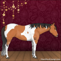 Horse Color:Bay Tobiano 