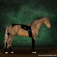Horse Color:Void Chocolate Palomino Tobiano 