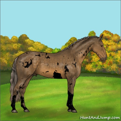 Horse Color:Void White Spotted Chocolate Palomino Tobiano 