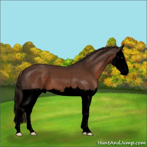 Horse Color:Void Liver Chestnut Splash 