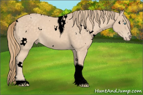 Horse Color:Void White Spotted Perlino Tobiano 