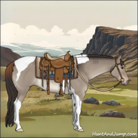 Horse Color:Liver Red Dun Tobiano 