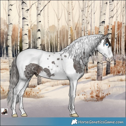 Horse Color:Liver Chestnut Ice Splash Tobiano 