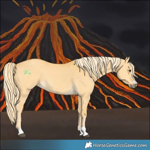 Horse Color:Palomino Dun 