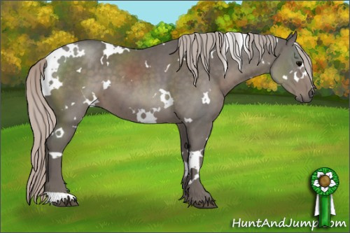 Horse Color:White Spotted Silver Black 