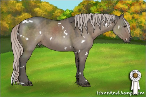 Horse Color:White Spotted Silver Grullo 
