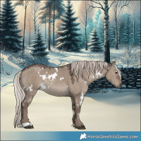 Horse Color:White Spotted Silver Grullo 