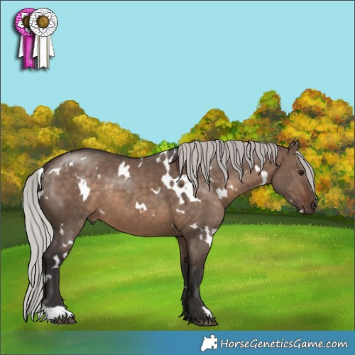 Horse Color:White Spotted Silver Brown Dun 