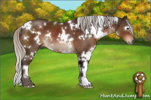 Horse Color:White Spotted Silver Brown 