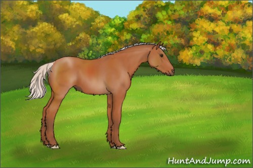 Horse Color:Silver Bay 