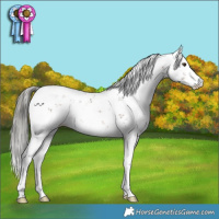 Horse Color:Liver Chestnut Mushroom Sabino 