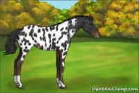 Horse Color:Liver Chestnut Tobiano Near Leopard 