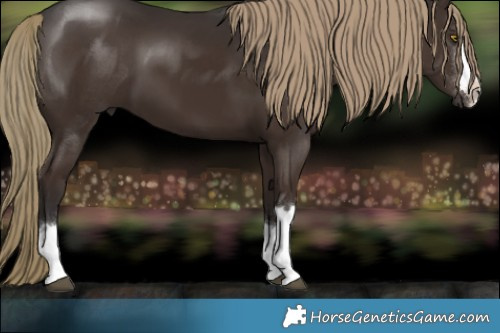 Horse Color:Liver Chestnut
