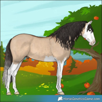 Horse Color:Bay Dun Splash 