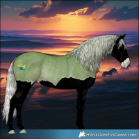 Horse Color:Watercolor Silver Black Splash Rabicano