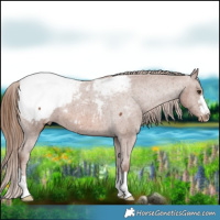 Horse Color:Chestnut Snowcap 